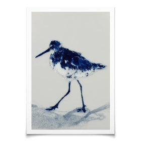 Blue Sandpiper Art Print Blue Sandpiper Art Print wall art product Chromatic Storm Studio