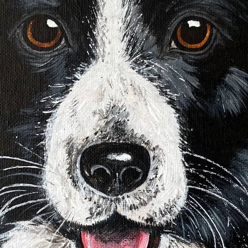 Border Collie Art Print Border Collie Art Print wall art product Jane Brookshaw