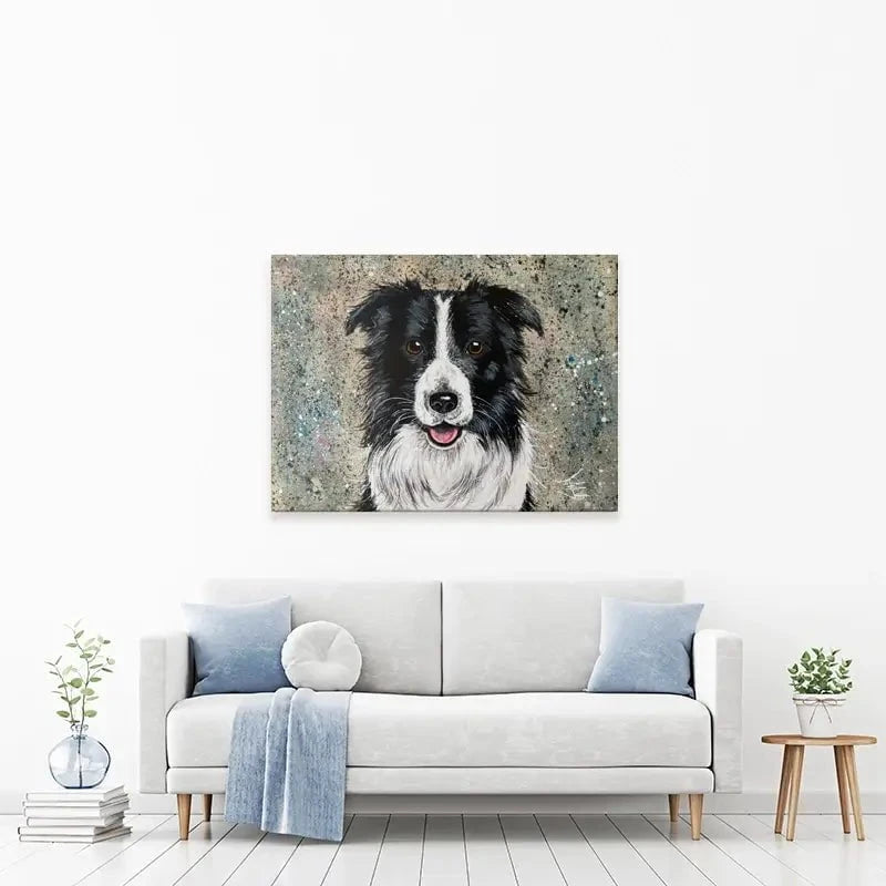 Border Collie Canvas Print Border Collie Canvas Print wall art product Jane Brookshaw
