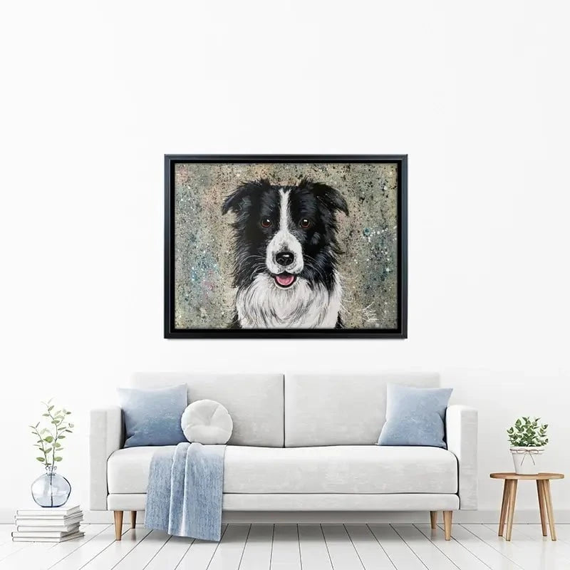 Border Collie Canvas Print Border Collie Canvas Print wall art product Jane Brookshaw