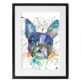 Bruno The Boston Terrier Framed Art Print Bruno The Boston Terrier Framed Art Print wall art product Jamie Taylor