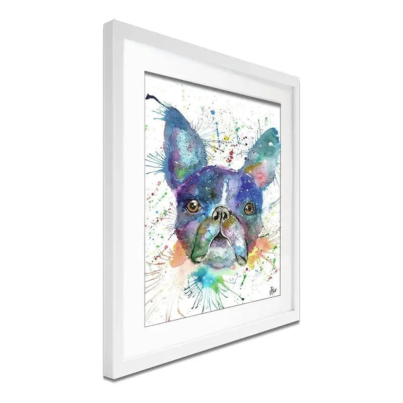 Bruno The Boston Terrier Framed Art Print Bruno The Boston Terrier Framed Art Print wall art product Jamie Taylor