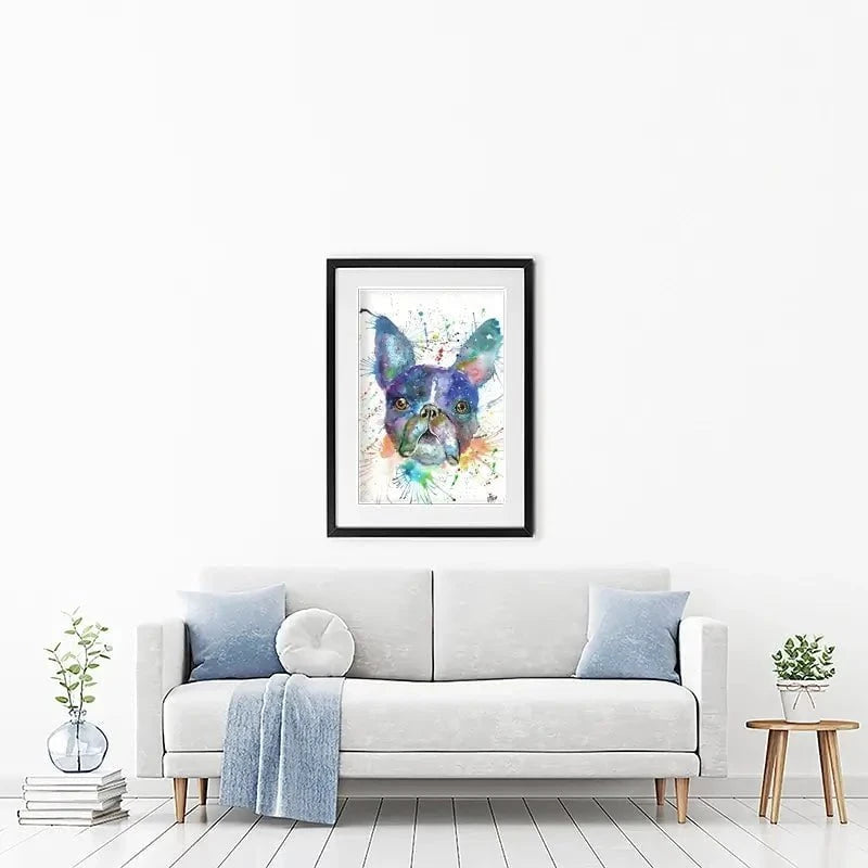 Bruno The Boston Terrier Framed Art Print Bruno The Boston Terrier Framed Art Print wall art product Jamie Taylor