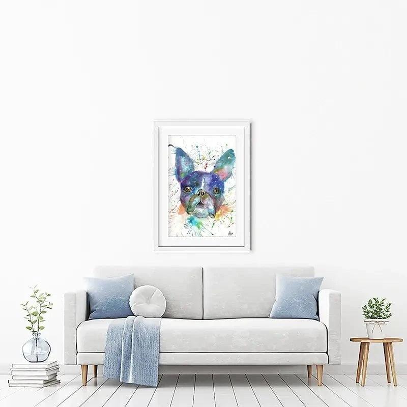 Bruno The Boston Terrier Framed Art Print Bruno The Boston Terrier Framed Art Print wall art product Jamie Taylor