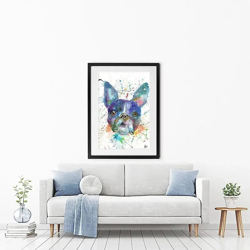 Bruno The Boston Terrier Framed Art Print Bruno The Boston Terrier Framed Art Print wall art product Jamie Taylor