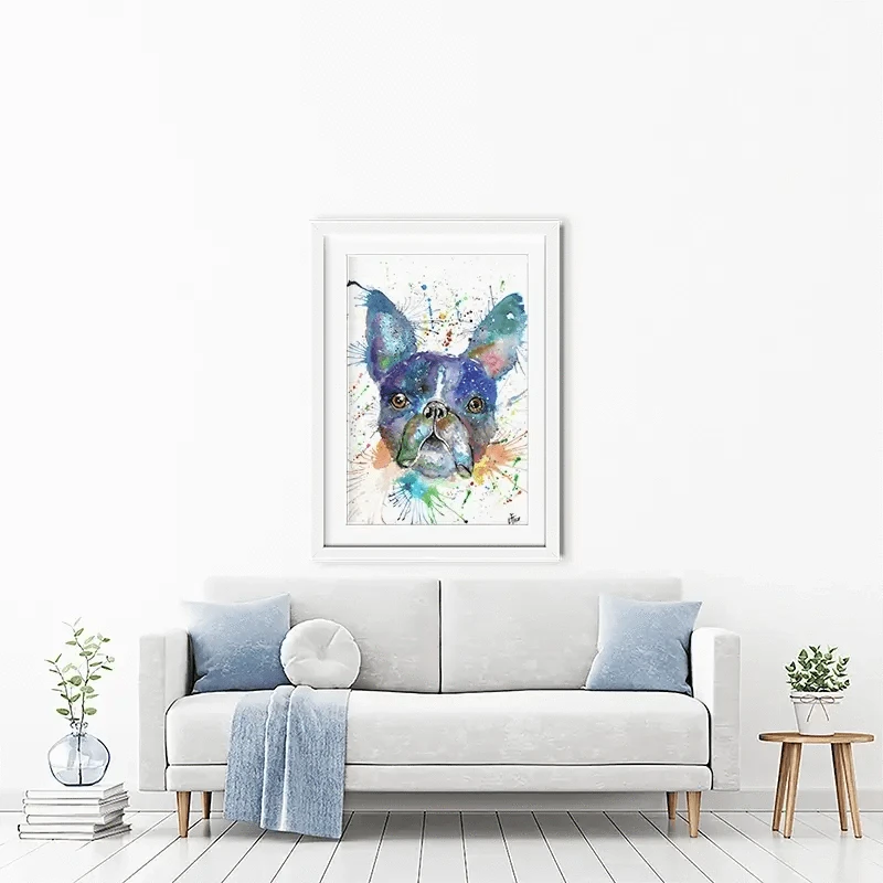 Bruno The Boston Terrier Framed Art Print Bruno The Boston Terrier Framed Art Print wall art product Jamie Taylor