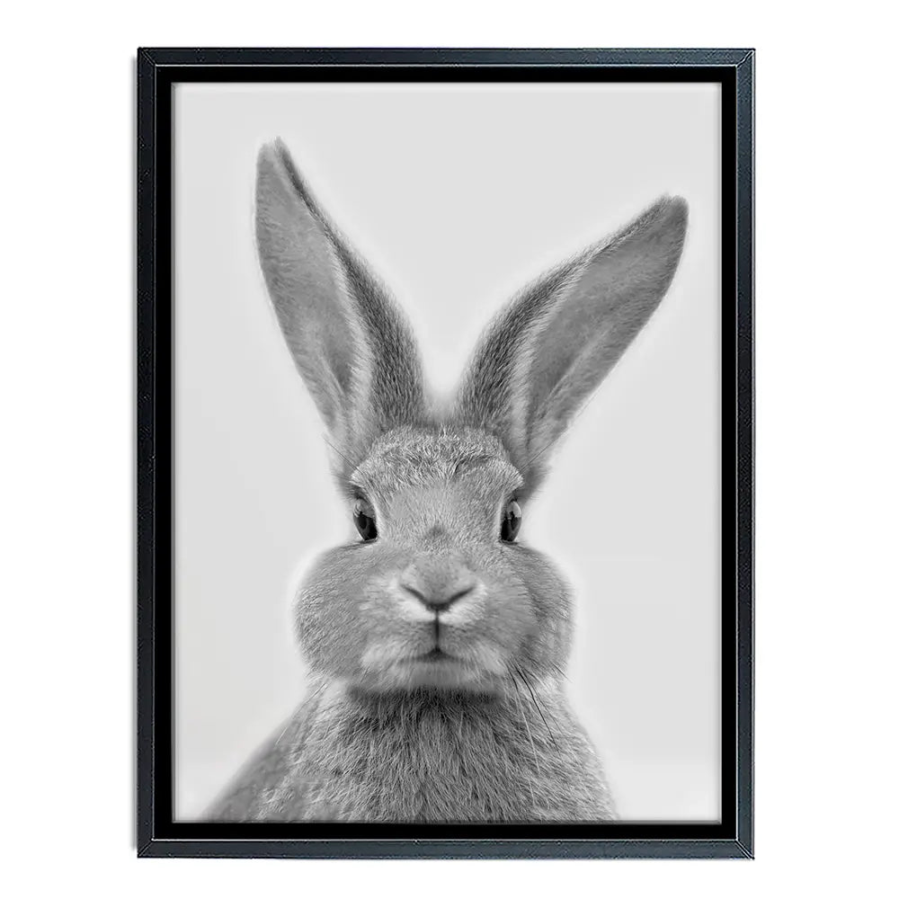 Bunny Rabbit Portrait Canvas Print Bunny Rabbit Portrait Canvas Print wall art product R Visser