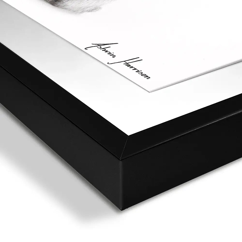 Buster And His Balloons Framed Art Print Buster And His Balloons Framed Art Print wall art product Ashvin Harrison