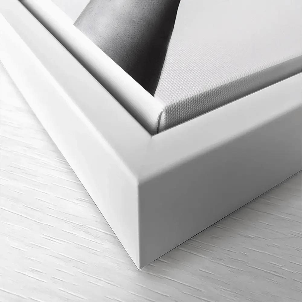 Celebrate Canvas Print Celebrate Canvas Print wall art product Ashvin Harrison