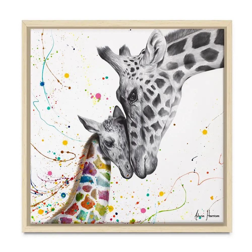 Celebration Of Love Square Canvas Print Celebration Of Love Square Canvas Print wall art product Ashvin Harrison