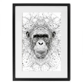 Chimpanzee Study Framed Art Print Chimpanzee Study Framed Art Print wall art product David Alexander Elder
