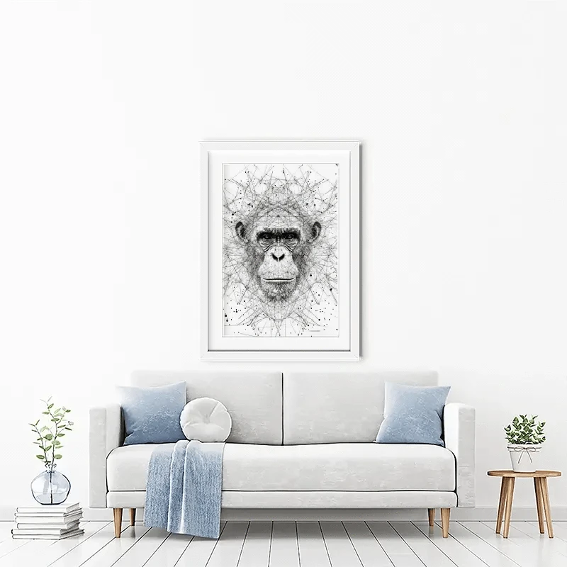 Chimpanzee Study Framed Art Print Chimpanzee Study Framed Art Print wall art product David Alexander Elder