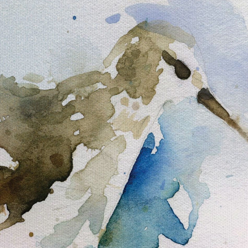 Coastal Sandpiper Duo Canvas Print Coastal Sandpiper Duo Canvas Print wall art product Carol Robinson