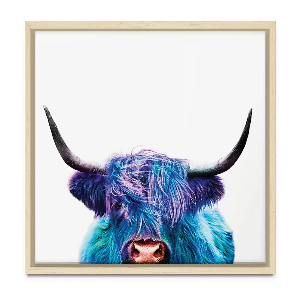 Colourful Blue Highland Cow Oversized Canvas Print Colourful Blue Highland Cow Oversized Canvas Print wall art product Art Print Shop