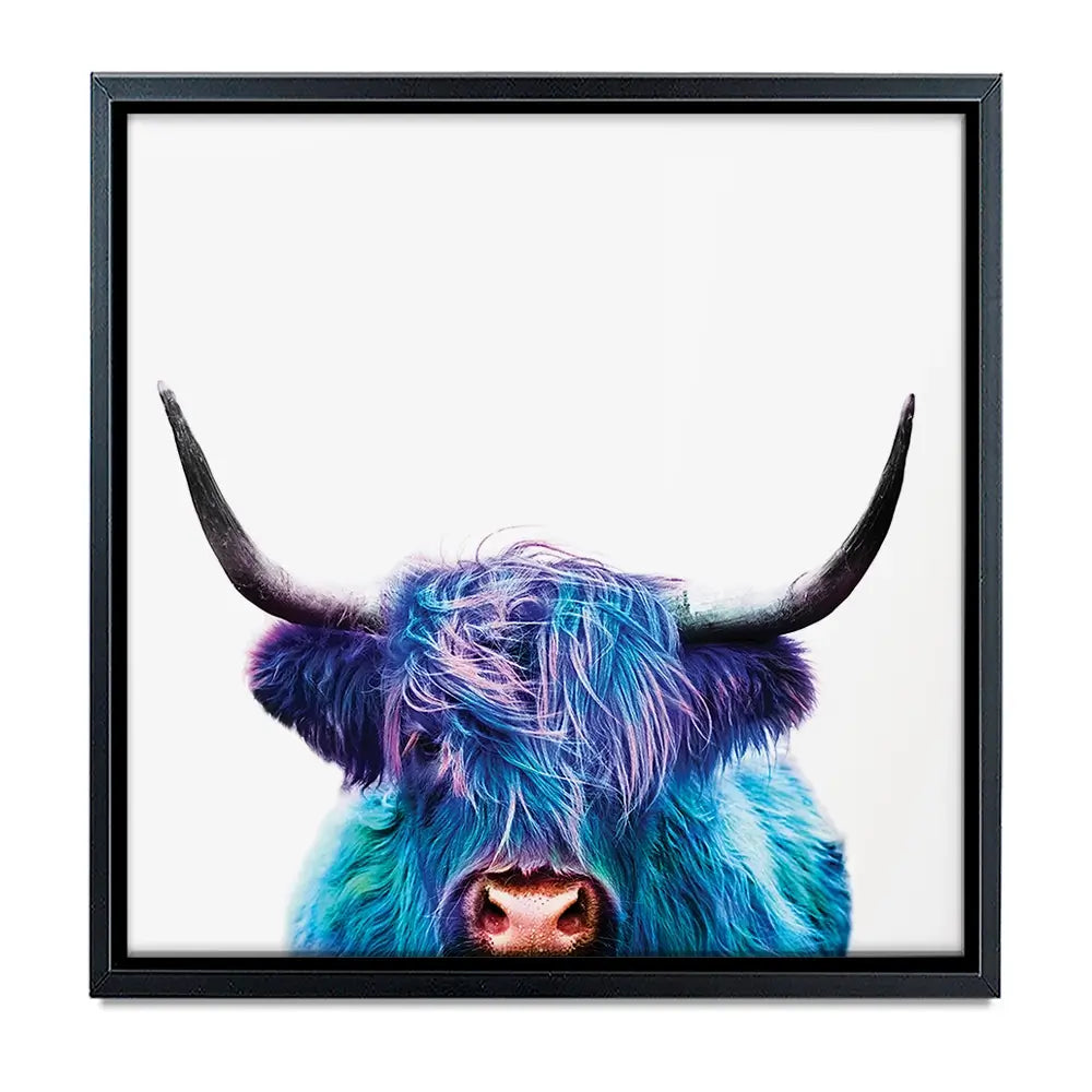 Colourful Blue Highland Cow Oversized Canvas Print Colourful Blue Highland Cow Oversized Canvas Print wall art product Art Print Shop