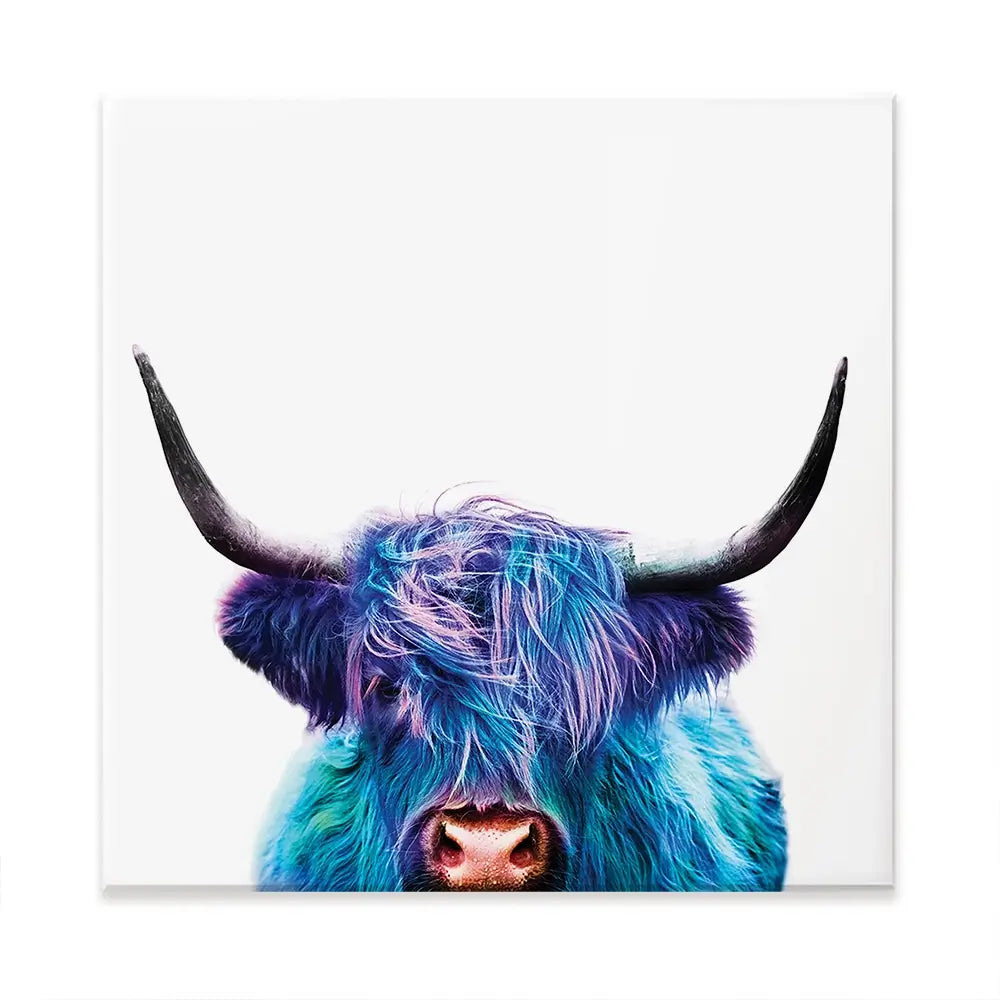 Colourful Blue Highland Cow Oversized Canvas Print Colourful Blue Highland Cow Oversized Canvas Print wall art product Art Print Shop