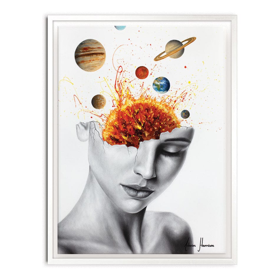 Conscious Universe Canvas Print wall art product Ashvin Harrison