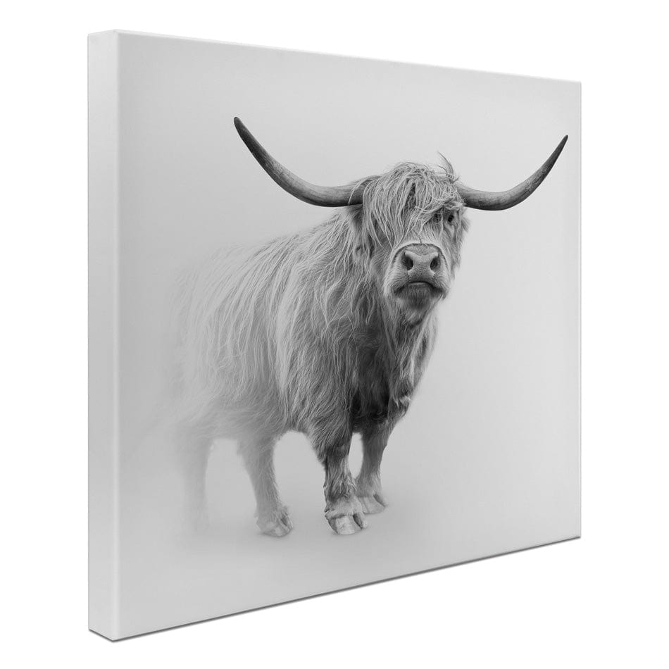 Cow In The Fog Square Canvas Print wall art product Effect of Darkness / Shutterstock