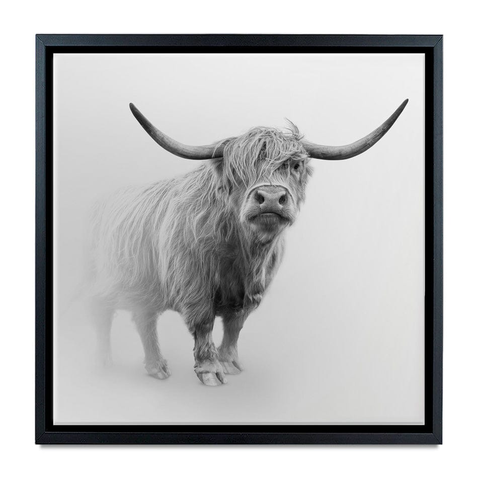 Cow In The Fog Square Canvas Print wall art product Effect of Darkness / Shutterstock