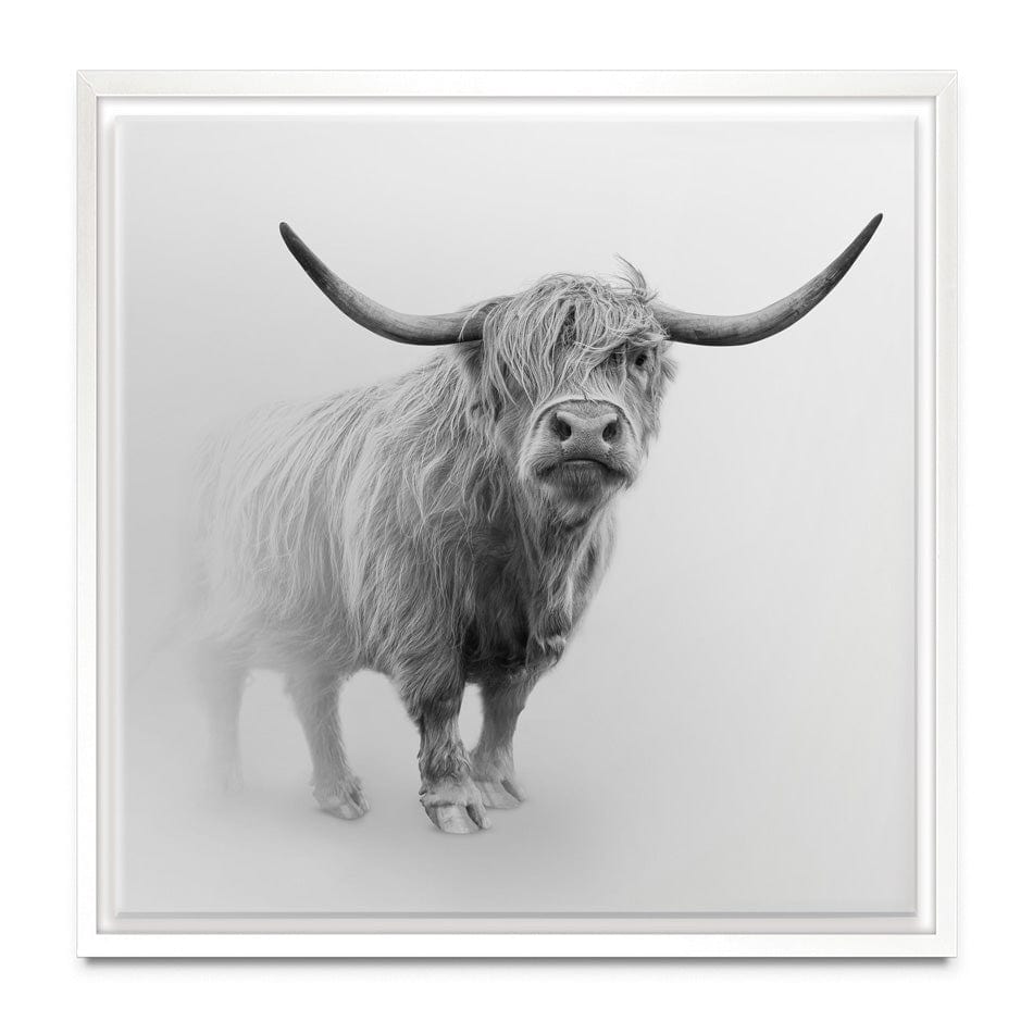 Cow In The Fog Square Canvas Print wall art product Effect of Darkness / Shutterstock