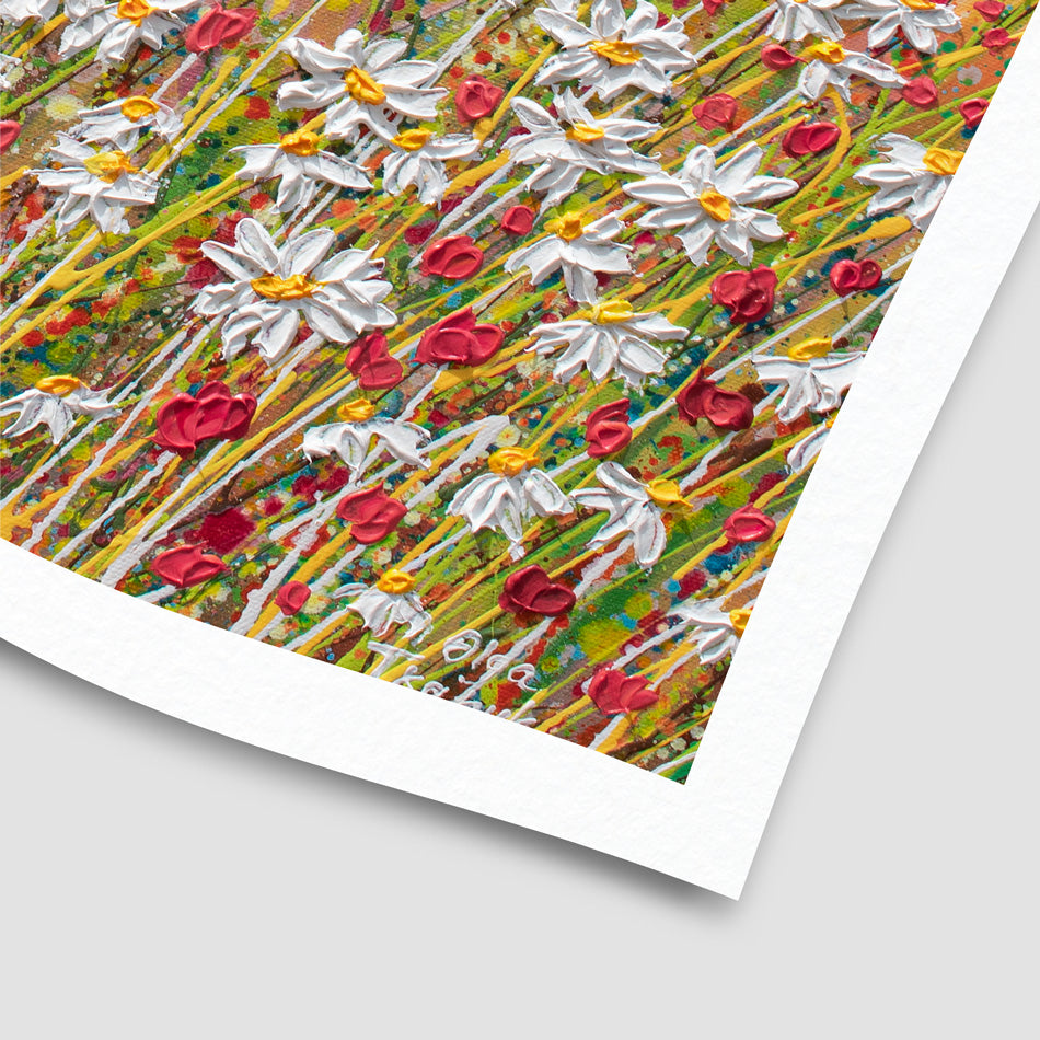 Daisies At Sunset Art Print Daisies At Sunset Art Print wall art product Olga Tkachyk