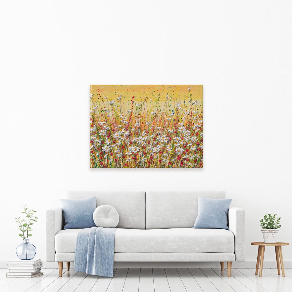 Daisies At Sunset Canvas Print wall art product Olga Tkachyk