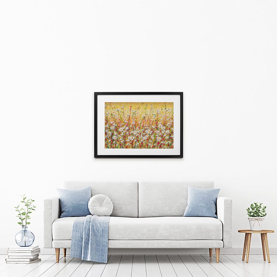 Daisies At Sunset Framed Art Print wall art product Olga Tkachyk