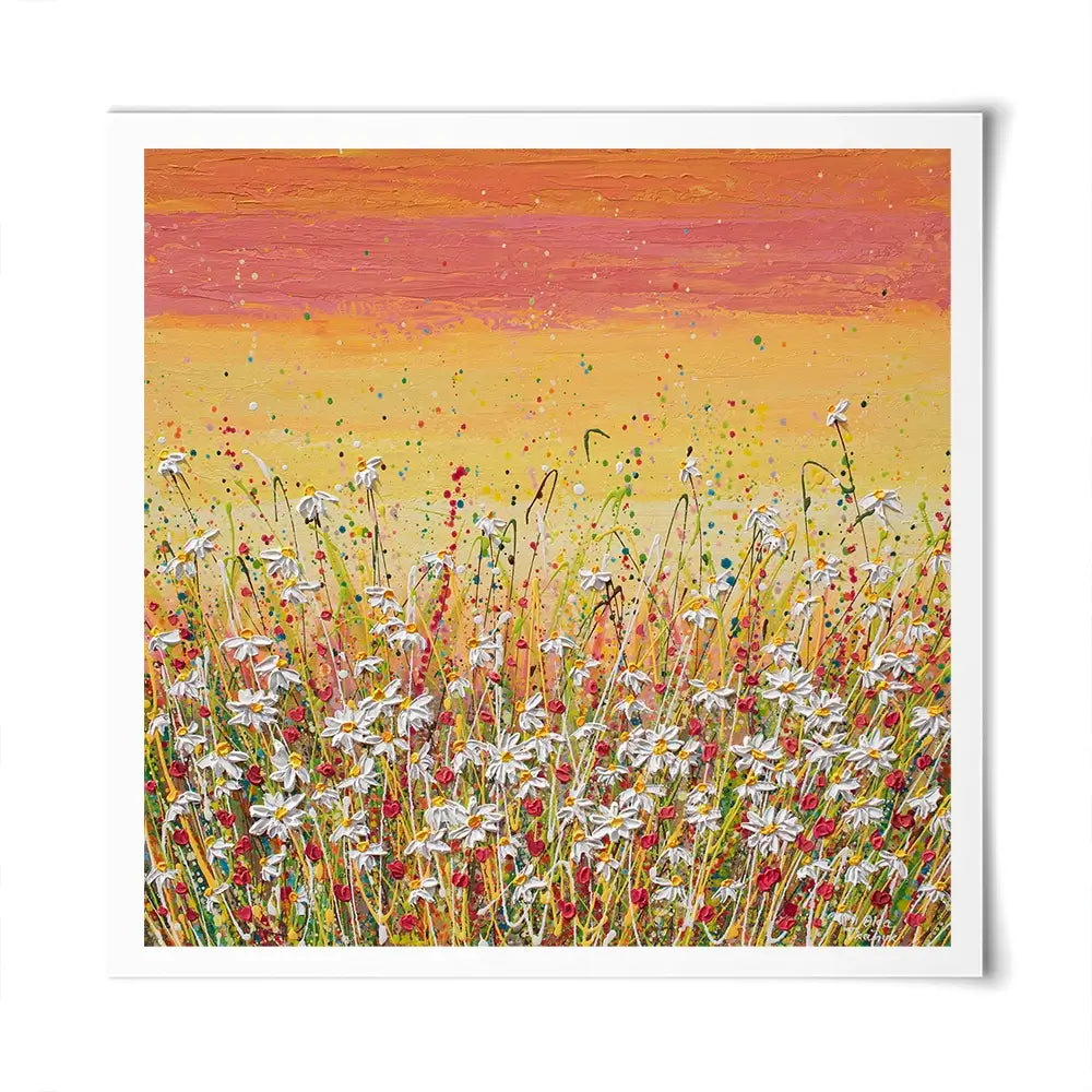 Daisies At Sunset Square Art Print Daisies At Sunset Square Art Print wall art product Art Print Shop