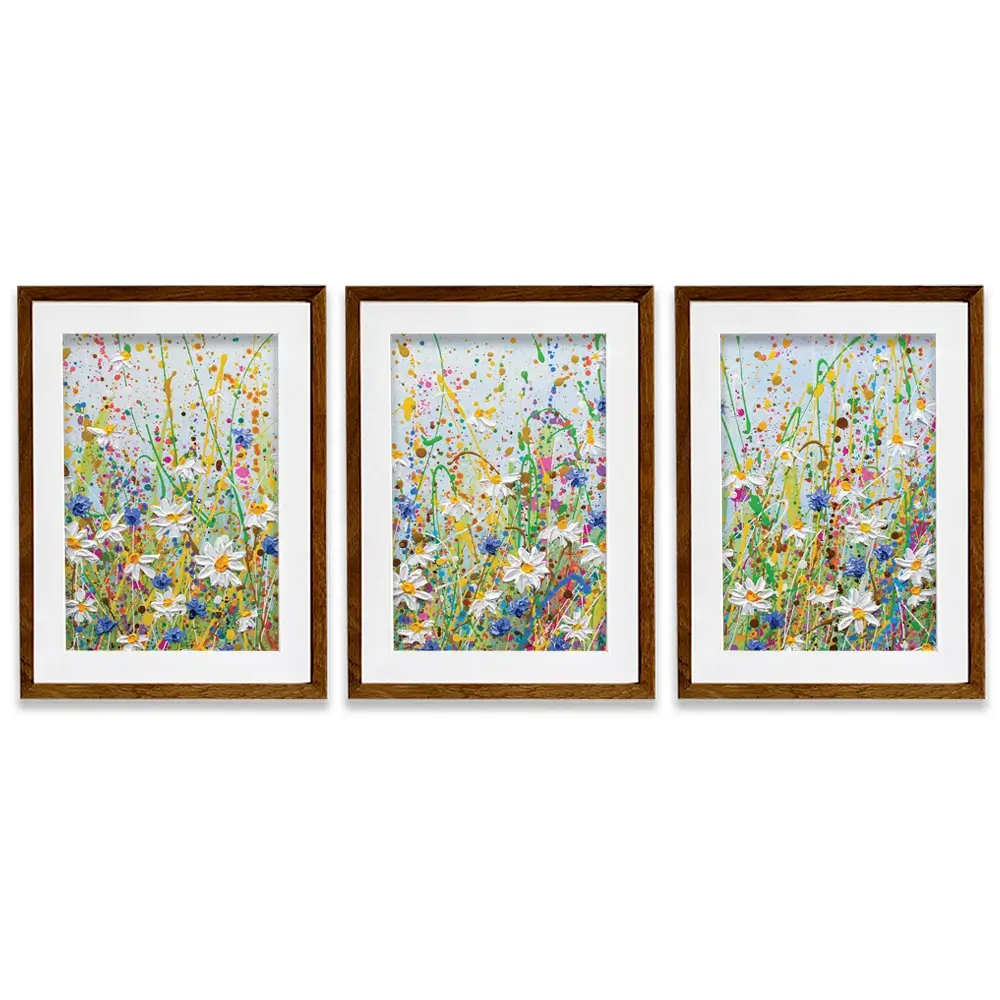 Daisy Splash Framed Art Print Trio Daisy Splash Framed Art Print Trio wall art product Olga Tkachyk