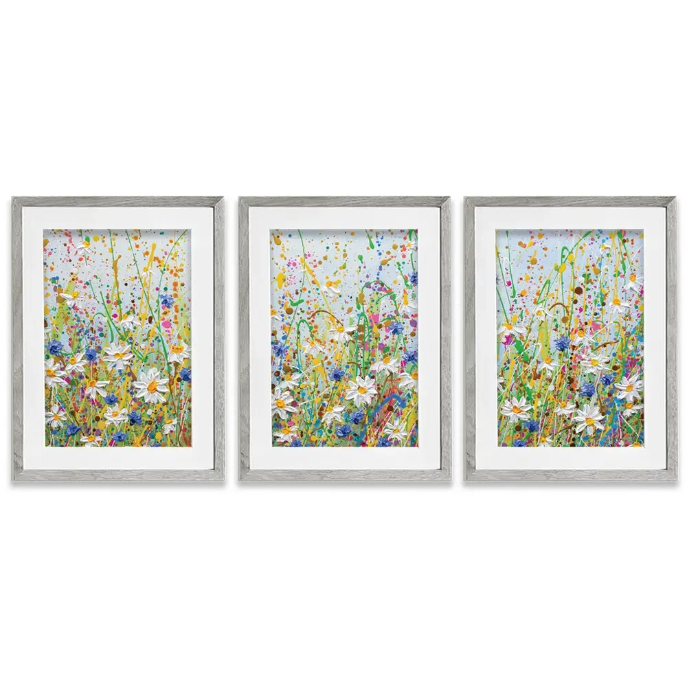 Daisy Splash Framed Art Print Trio Daisy Splash Framed Art Print Trio wall art product Olga Tkachyk