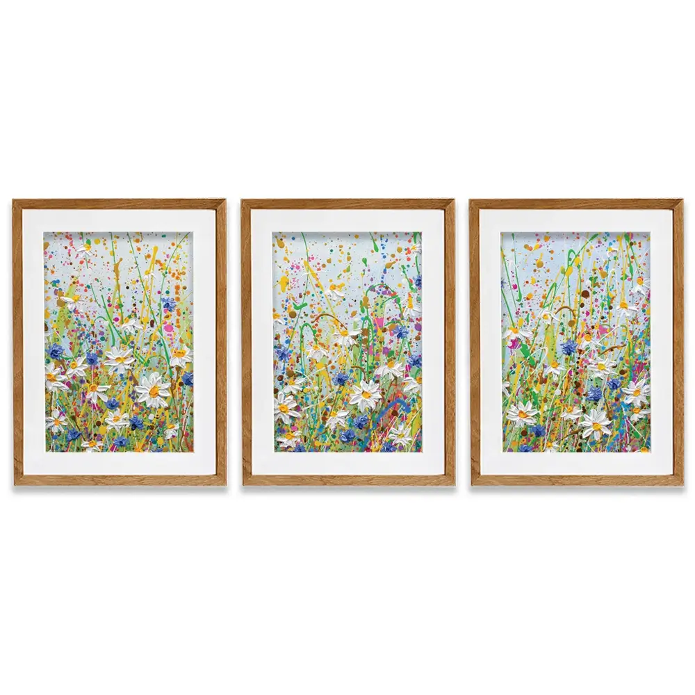 Daisy Splash Framed Art Print Trio Daisy Splash Framed Art Print Trio wall art product Olga Tkachyk