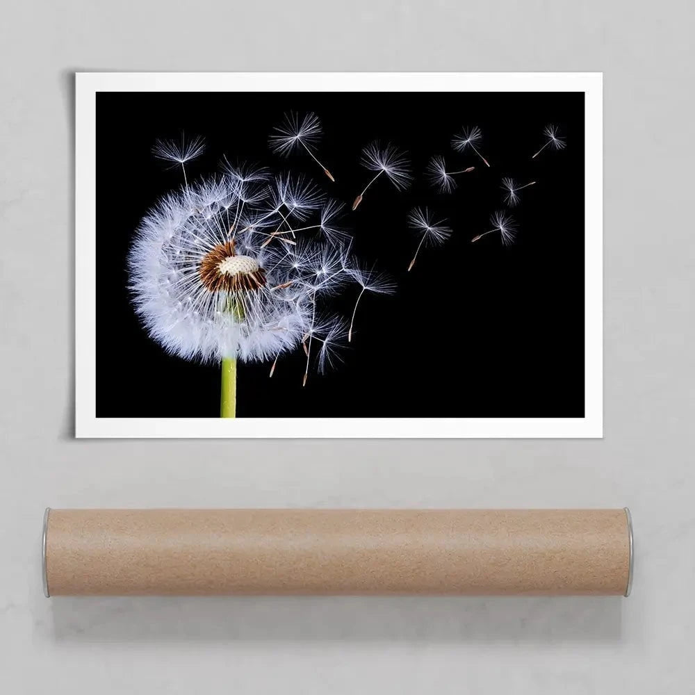 Dandelion Art Print Dandelion Art Print wall art product Bess Hamitii / Shutterstock