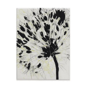Dandelion Burst Canvas Print Dandelion Burst Canvas Print wall art product Chromatic Storm Studio
