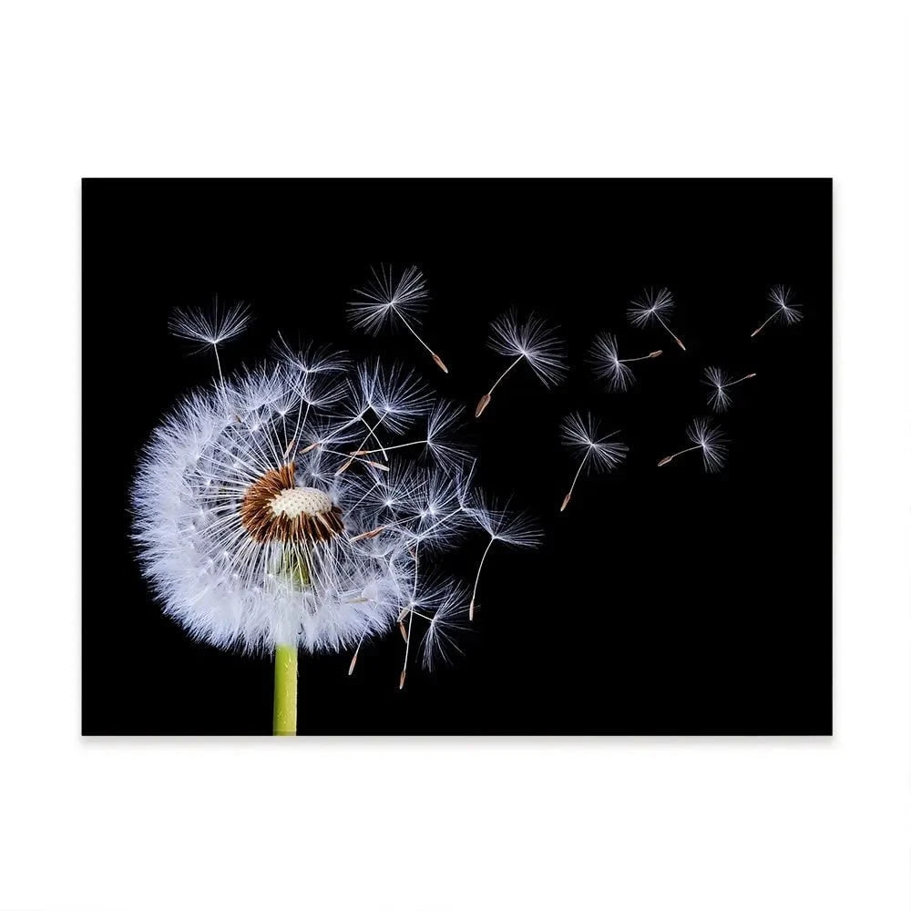 Dandelion Canvas Print Dandelion Canvas Print wall art product Bess Hamitii / Shutterstock