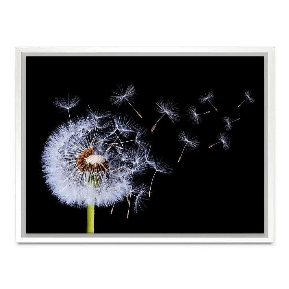 Dandelion Canvas Print Dandelion Canvas Print wall art product Bess Hamitii / Shutterstock
