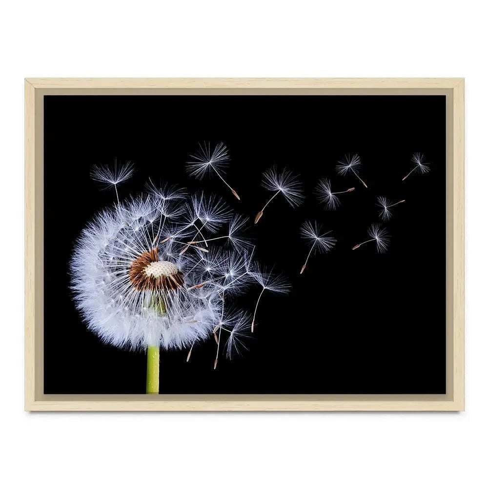 Dandelion Canvas Print Dandelion Canvas Print wall art product Bess Hamitii / Shutterstock