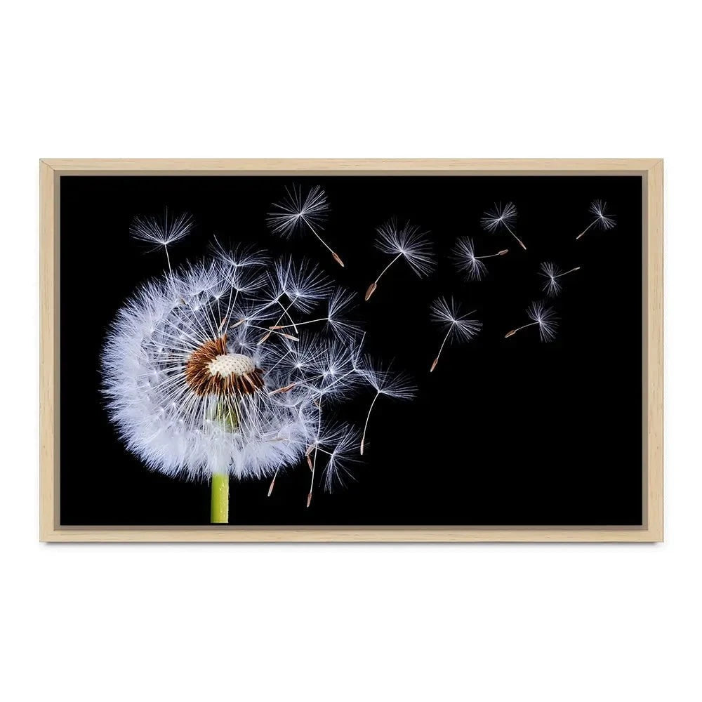 Dandelion Canvas Print Dandelion Canvas Print wall art product Bess Hamitii / Shutterstock