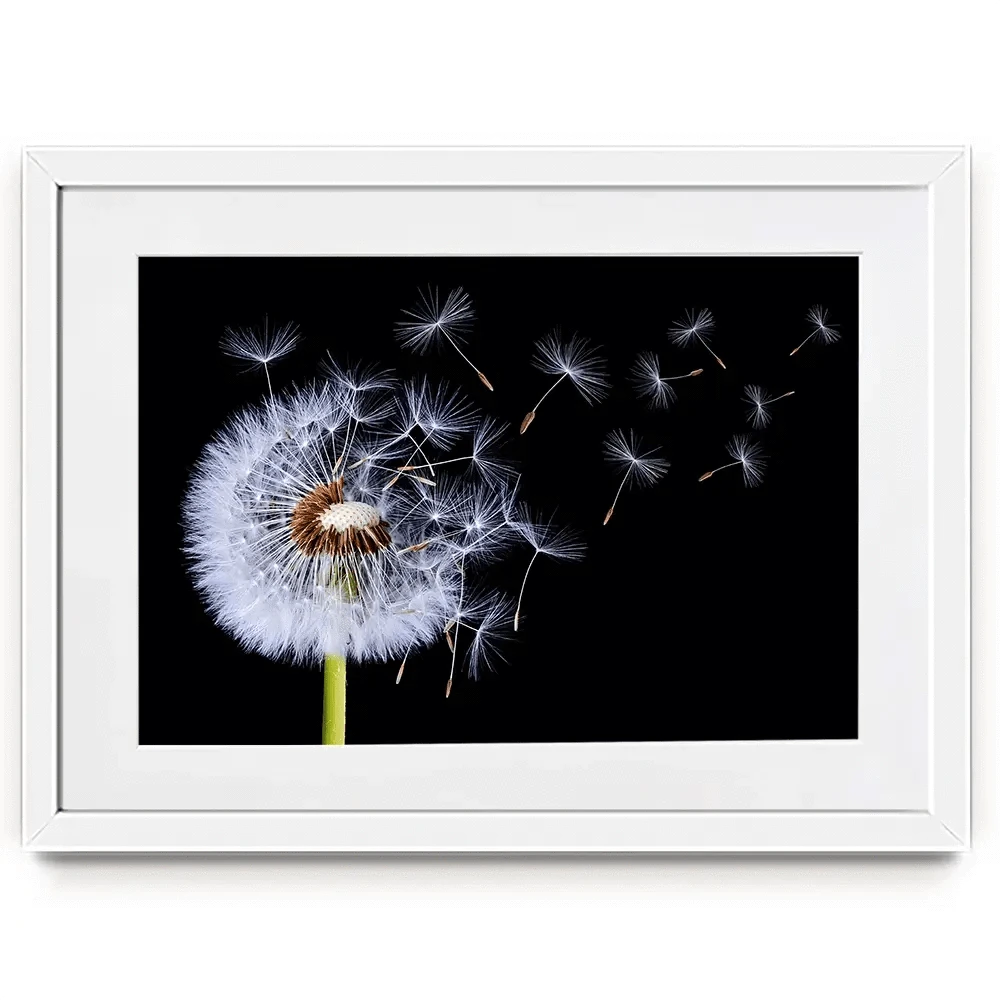 Dandelion Framed Art Print Dandelion Framed Art Print wall art product Bess Hamitii / Shutterstock