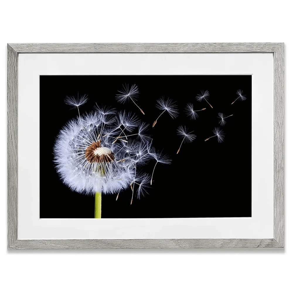 Dandelion Framed Art Print Dandelion Framed Art Print wall art product Bess Hamitii / Shutterstock