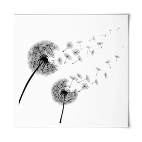 Dandelions Square Art Print Dandelions Square Art Print wall art product Art Print Shop