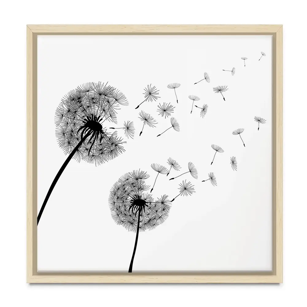 Dandelions Square Canvas Print Dandelions Square Canvas Print wall art product Art Print Shop