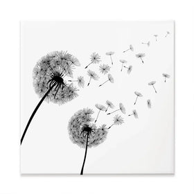 Dandelions Square Canvas Print Dandelions Square Canvas Print wall art product Art Print Shop