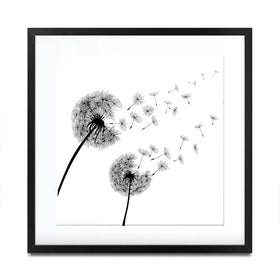 Dandelions Square Framed Art Print Dandelions Square Framed Art Print wall art product Art Print Shop