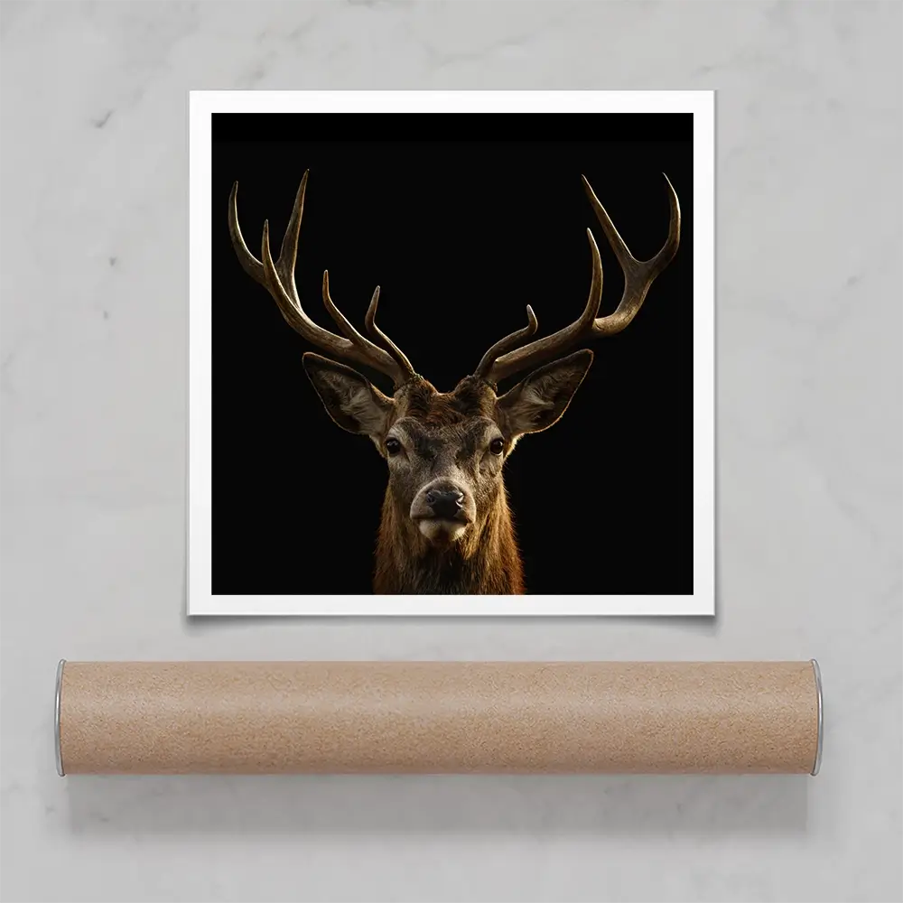 Deer Square Art Print Deer Square Art Print wall art product Art Print Shop