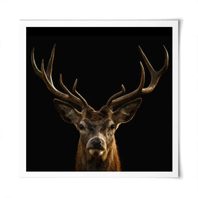 Deer Square Art Print Deer Square Art Print wall art product Art Print Shop