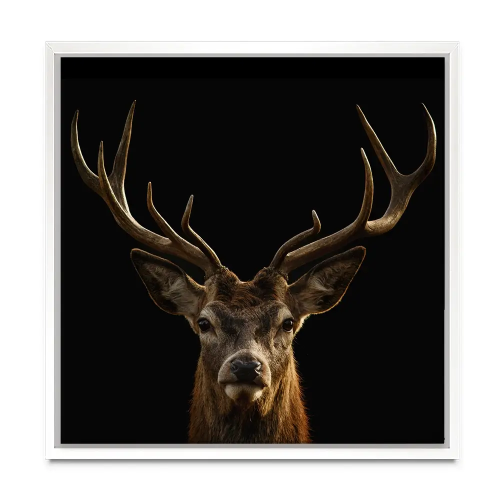 Deer Square Canvas Print Deer Square Canvas Print wall art product Art Print Shop