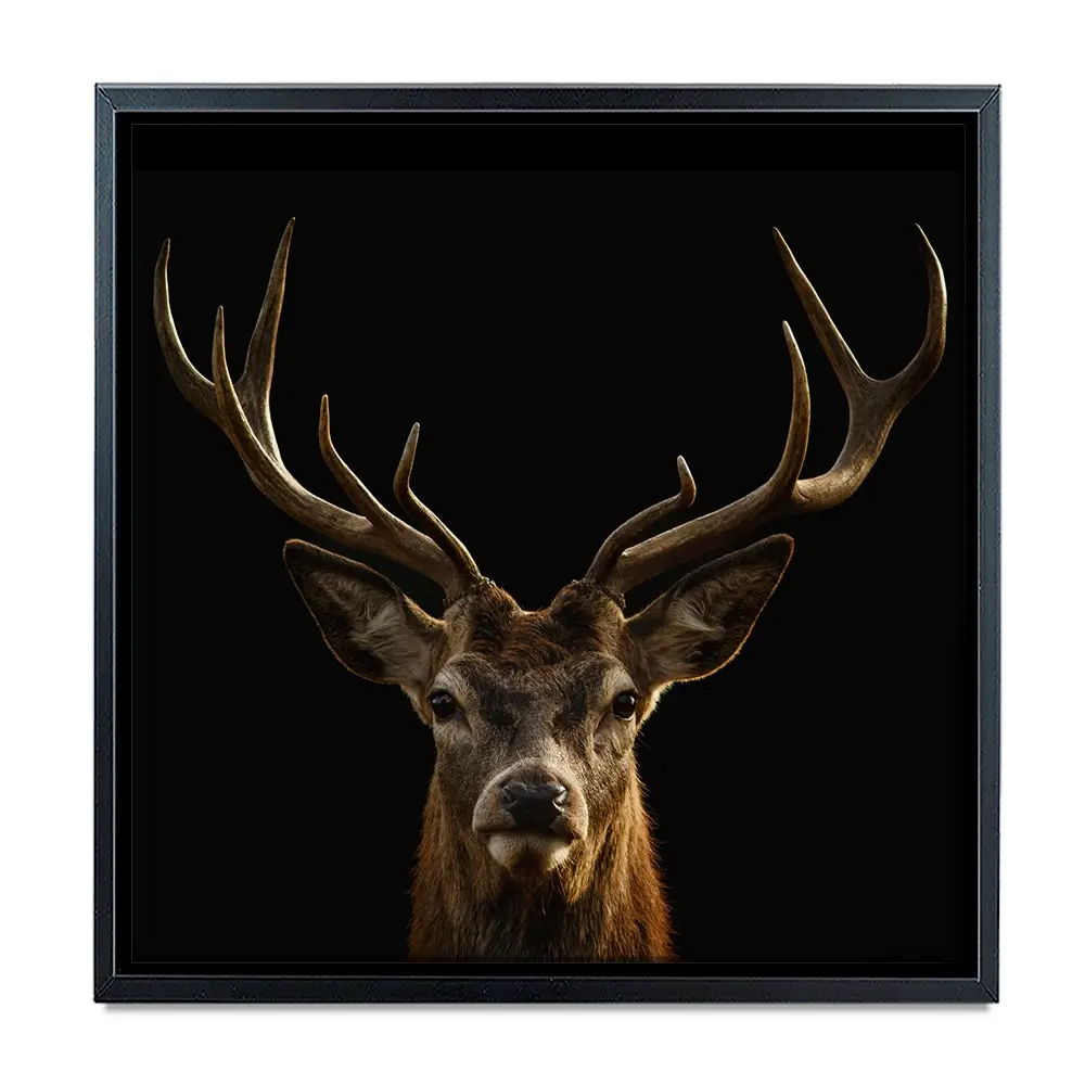 Deer Square Canvas Print Deer Square Canvas Print wall art product Art Print Shop
