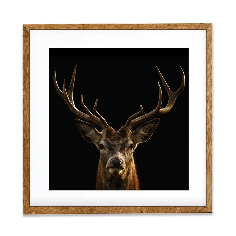 Deer Square Framed Art Print Deer Square Framed Art Print wall art product Art Print Shop