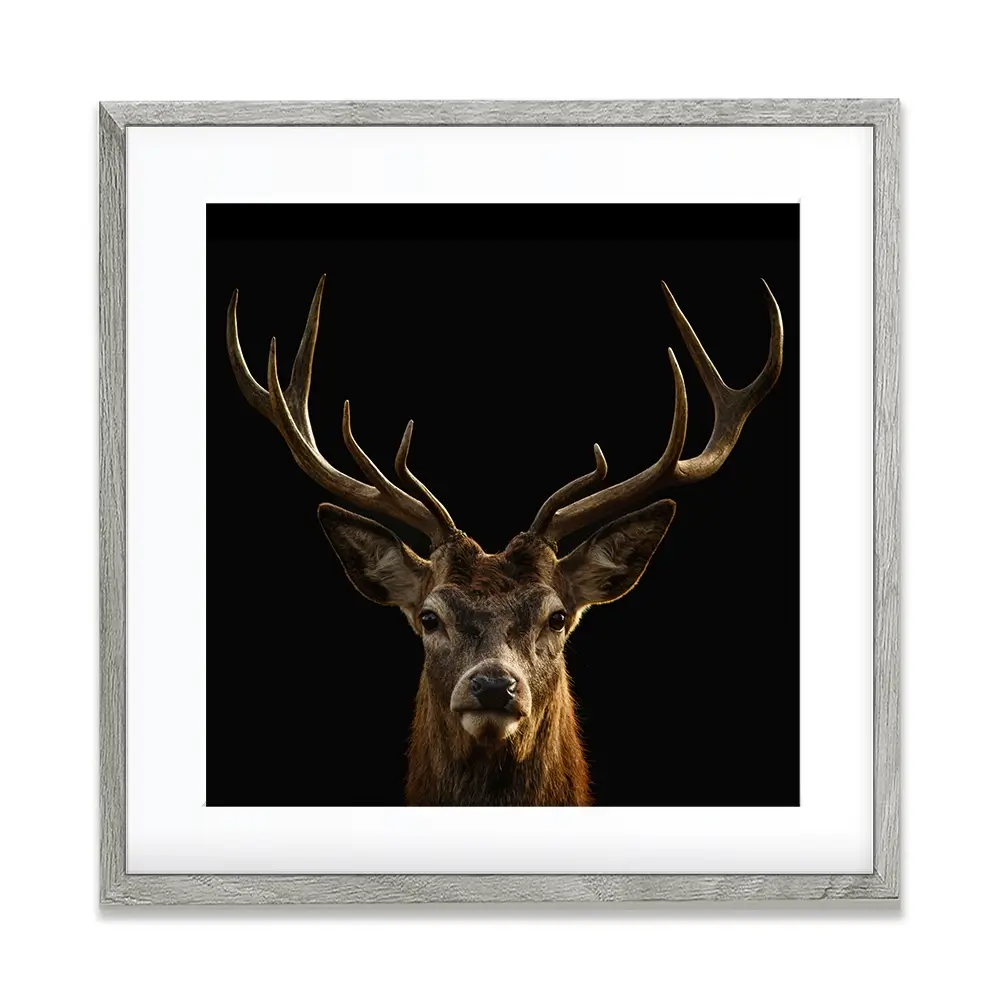 Deer Square Framed Art Print Deer Square Framed Art Print wall art product Art Print Shop