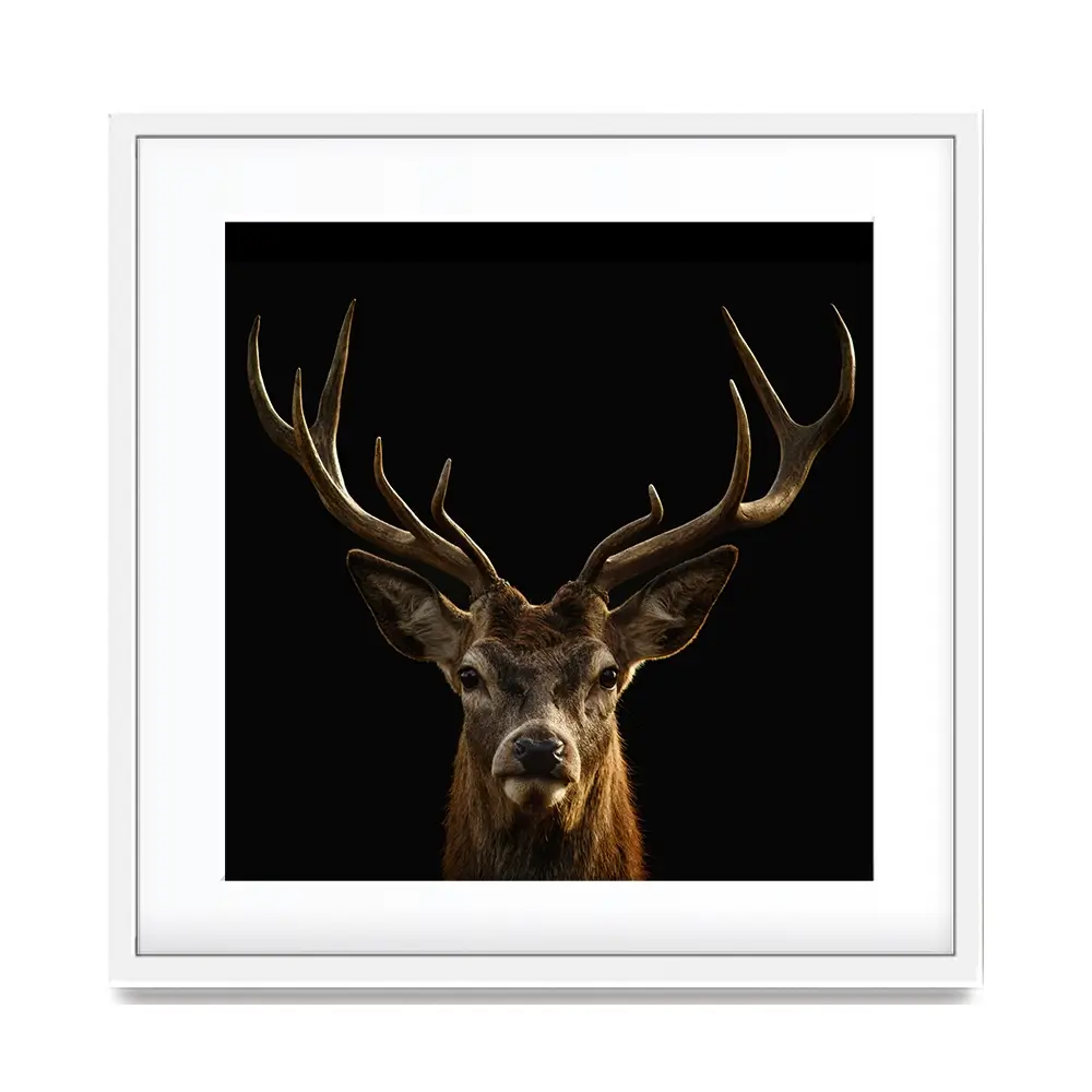 Deer Square Framed Art Print Deer Square Framed Art Print wall art product Art Print Shop